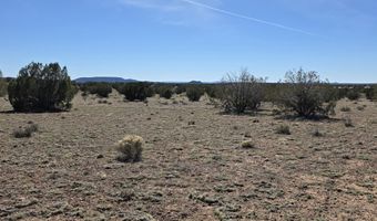 Tanner Rd lot 8B, Ash Fork, AZ 86320