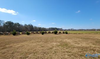 28669 Alabama Highway 251, Ardmore, AL 35739