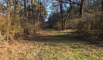 U.S. Highway 51, Bogue Chitto, MS 39629
