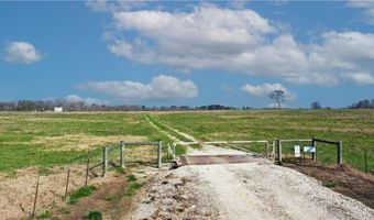 Tbd Tract 5 Fm-2819, Anderson, TX 77830