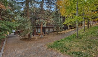 731 S Mill St 3A, Aspen, CO 81611