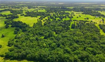 Farm to Market Rd 2562, Anderson, TX 77830