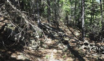 0 Gamble Gulch, Black Hawk, CO 80422