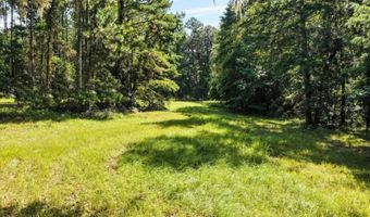 NW 218TH LANE, Alachua, FL 32615