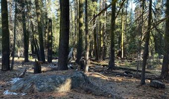 550 Cabbage Patch Log Rd, South Lake Tahoe, CA 95223