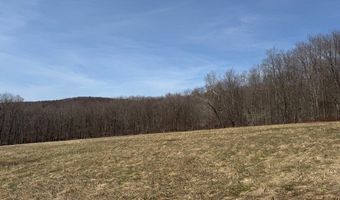 Lot 2 Doig Hollow Road, Andes, NY 13731