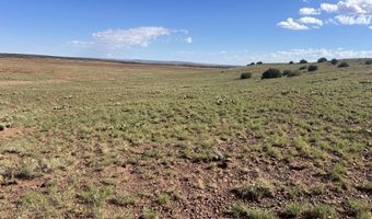 1342 County Road 5020, Concho, AZ 85924