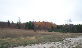 8139 Bluebird Lot 17, Alanson, MI 49706