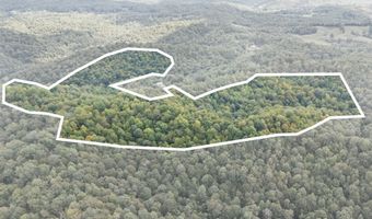 510 Shelton Ln, Beattyville, KY 41311