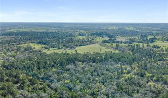 6254 County Road 180, Anderson, TX 77830