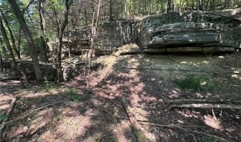 71 8 Klondike Rd, Anderson, MO 64831