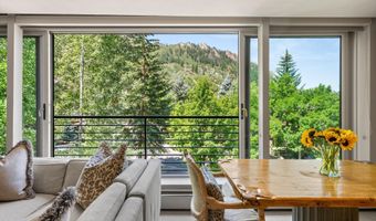 728 S Galena St 202-B, Aspen, CO 81611