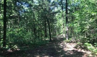 0000 County Road 4307, De Kalb, TX 75559
