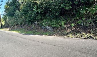 KAOHE RD lot 12, Captain Cook, HI 96704
