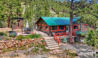 449 Highway 7 Business, Allenspark, CO 80510