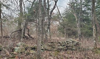 4775 S 50th Rd, Aldrich, MO 65601