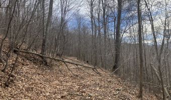 0 TBD Elleber Sods Rd, Bartow, WV 24920