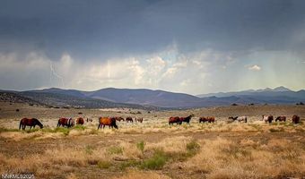 1281 Jo Ln, Gardnerville, NV 89410