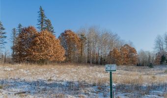 28795 133rd St NW, Baldwin Twp., MN 55398