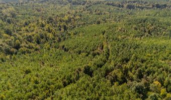 Holmes Road, Batesville, MS 38606