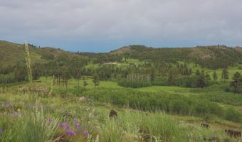 14884 Rist Canyon Rd, Bellvue, CO 80512