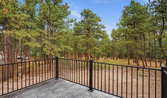 10790 Downhill Dr, Belle Fourche, SD 57717