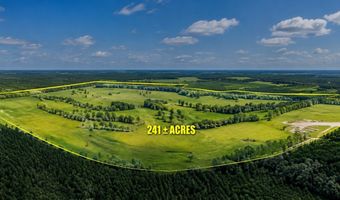 542 Lilla B Gaskins Rd, Alapaha, GA 31622