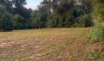 0 Bruner Pond Rd, Ashford, AL 36312