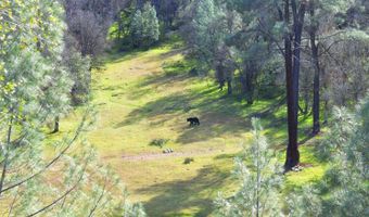 18505 Brumby Way, Anderson, CA 96007