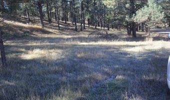 Valley Road lot 41, Angel Fire, NM 87710
