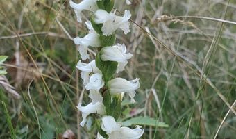 W McMann & Meadow Roads lot 13-1, Addison, ME 04606