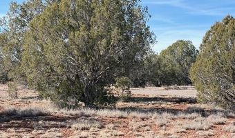 00- C N Dunbar Blvd, Ash Fork, AZ 86320