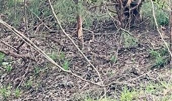 Hickory Street, Beggs, OK 74421