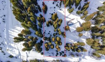 707 CR 674, Breckenridge, CO 80424