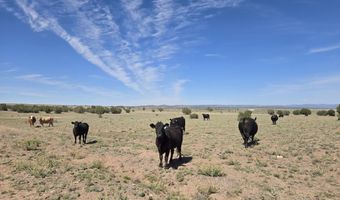 256 D Old Antelope Run Rd, Ash Fork, AZ 86320