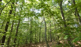 Lot 6 Maplecrest Road, Parsonsfield, ME 04047