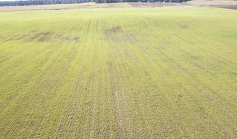 72 Nw Pl, Bell, FL 32619