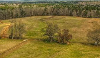 14301 Mann Ln, Alexander, AR 72002