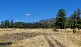 Tbd STONE CREEK RD CR 2117, Alpine, AZ 85920