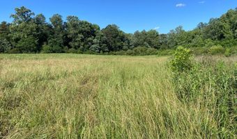 Tract 2 Hwy 51S, Homer, GA 30547