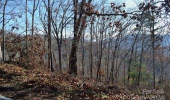 377 Elk Mountain Scenic Hwy, Asheville, NC 28804