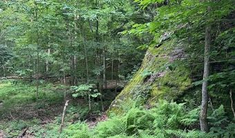 1430 Back Rd, Belvidere Center, VT 05442