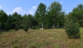 9537 LAKEVIEW Rd, Alanson, MI 49706