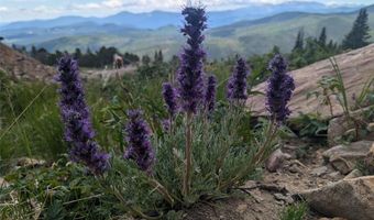 UPPER APEX Road, Black Hawk, CO 80422