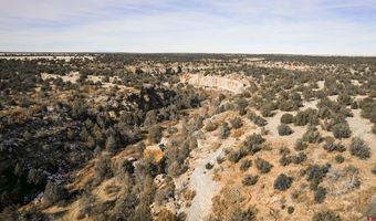 000 County Road 40.2 Poitry Canyon Ranch, Branson, CO 81027
