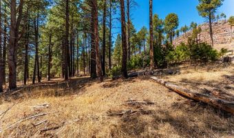 116 Pine Dr, Bayfield, CO 81122