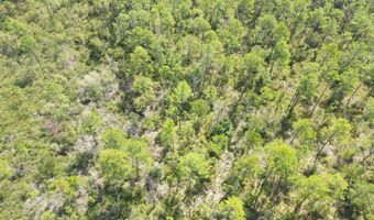 21947 NW Isoletta Rd, Altha, FL 32421