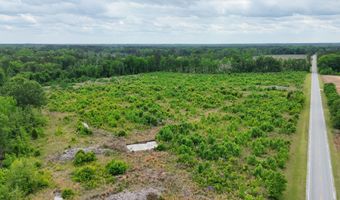 Voorhees Road, Bamberg, SC 29003