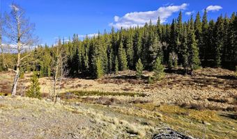 PCS # 7765 & 12057 Rollies Trail lot 0, Alma, CO 80420