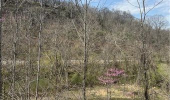 Little Coal River Road, Alum Creek, WV 25501